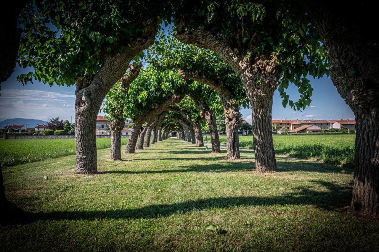 Villa Minini Bed & Breakfast Rive d'Arcano Exteriér fotografie