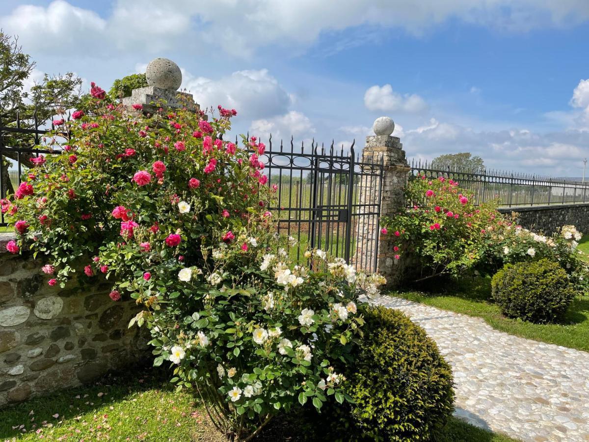 Villa Minini Bed & Breakfast Rive d'Arcano Exteriér fotografie